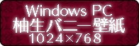 for_Windows_PC