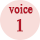 VOICE1