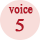 VOICE5